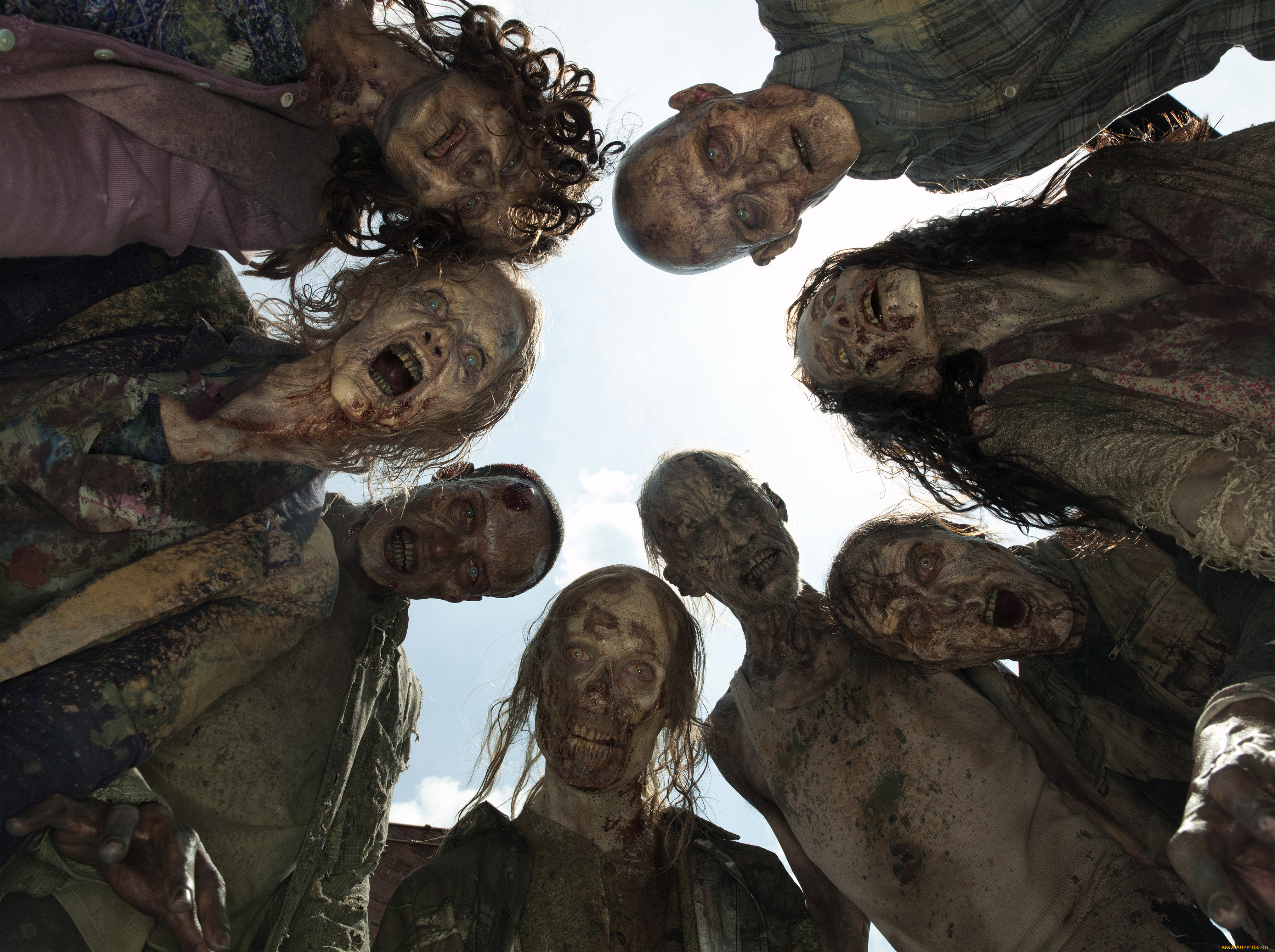  , the walking dead, , , , dead, walking, the